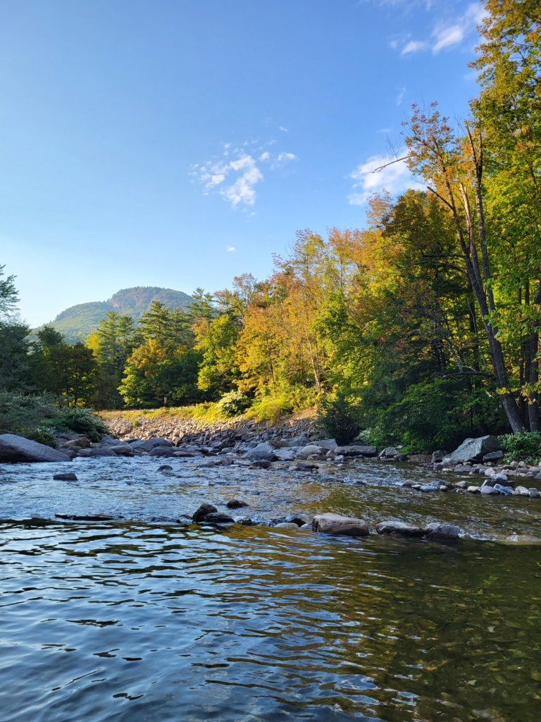 Annual Awards 20240914 172858