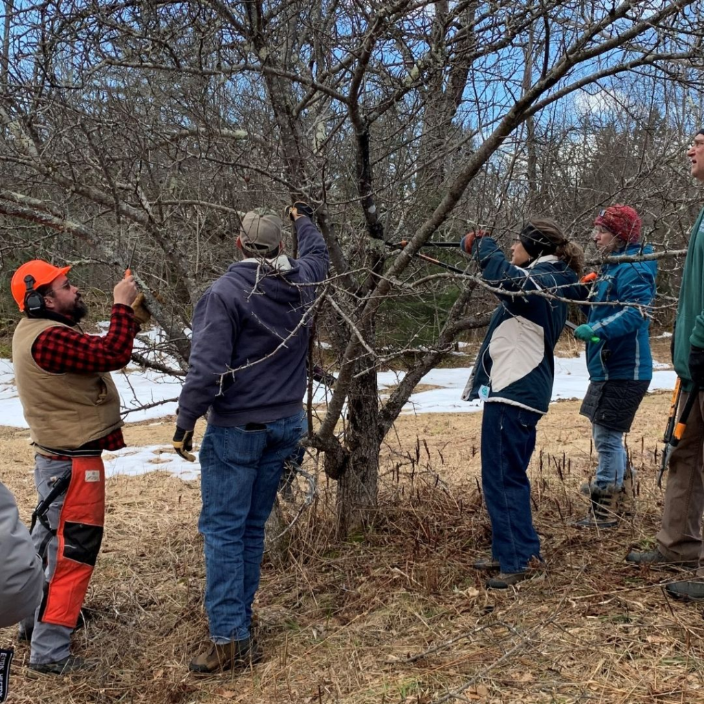 apple pruning orig annualreport