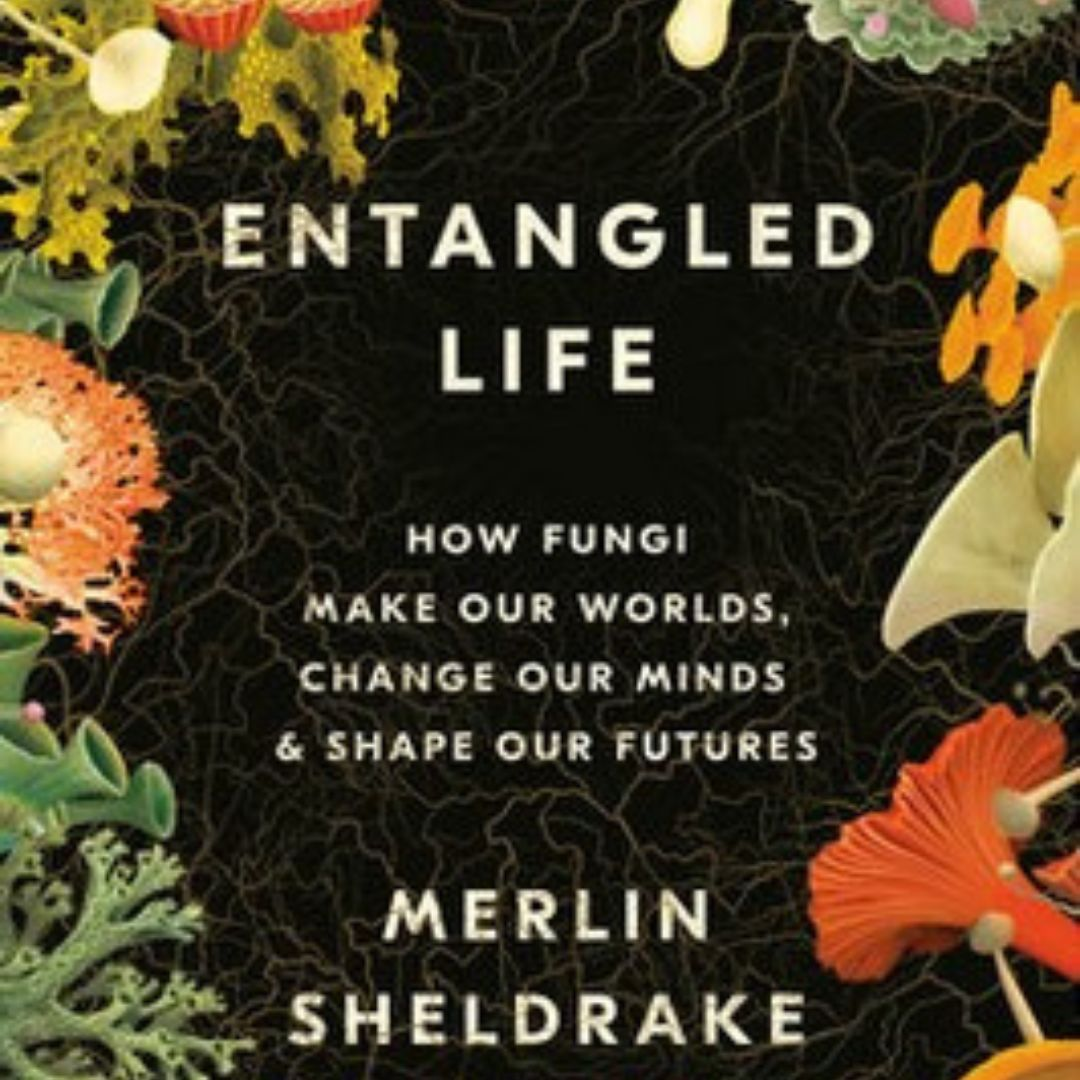 entangled life square orig.webp