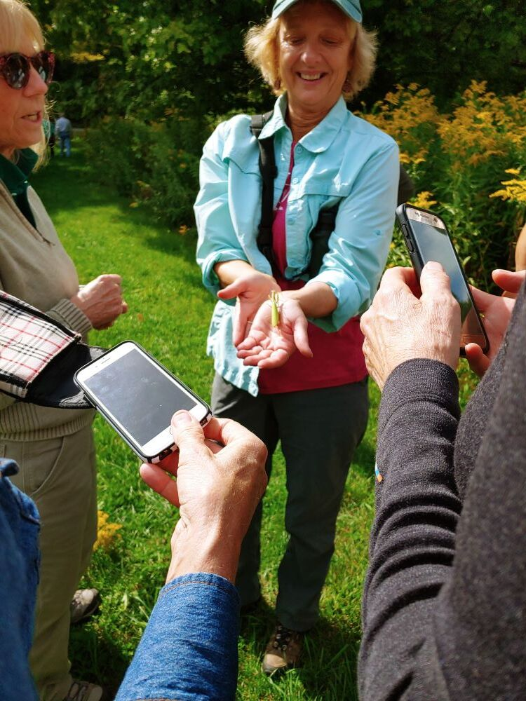 nancy patch2 orig wow